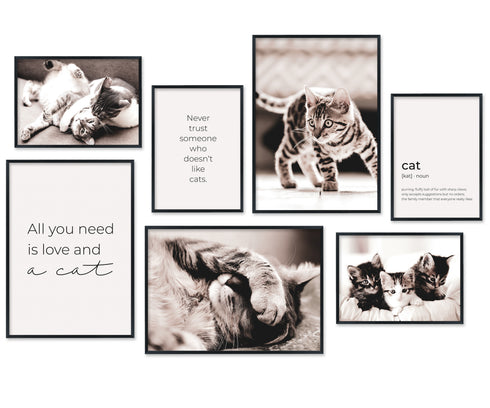 Poster Set Cats