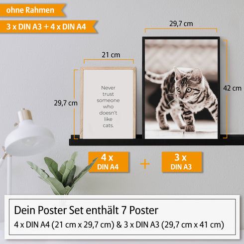 Poster Set Cats