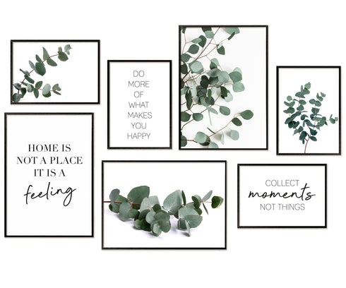 Poster Set Eukalyptus