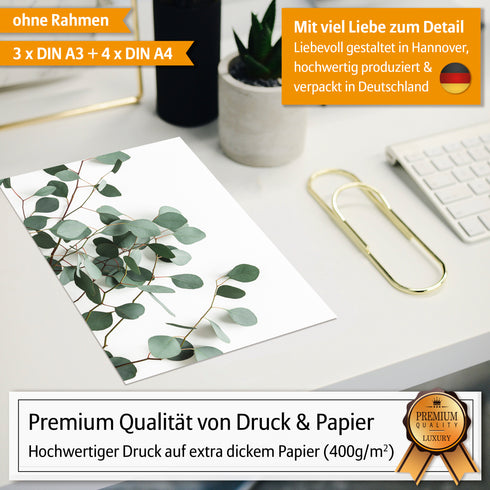 Poster Set Eukalyptus