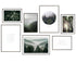 Poster Set Forest
