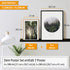Poster Set Forest