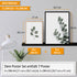 Poster Set Leaves