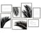 Poster Set Palmenblatt