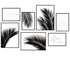 Poster Set Palmenblatt