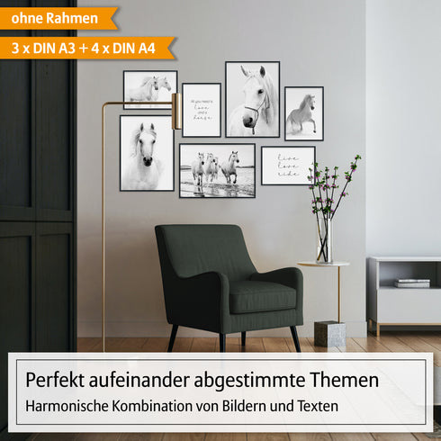 Poster Set Pferde