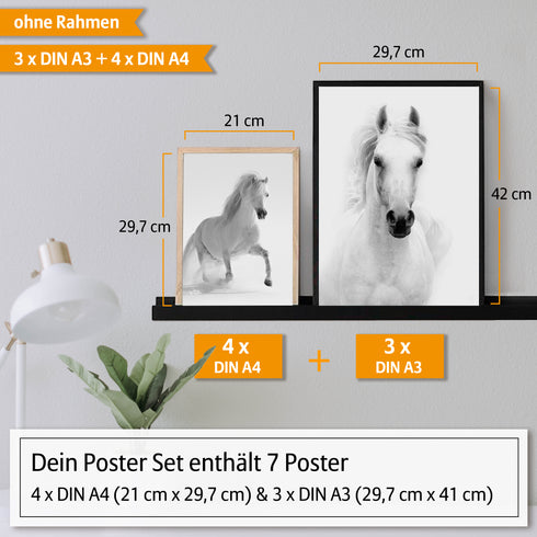 Poster Set Pferde